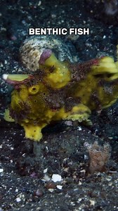 Mel Gibson talks about evolution. | Stated Clearly