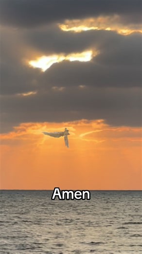 ‏An angel it’s really 😱😱#myuzgaza1 #كابتن_ميوز #angel