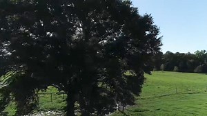 107K views · 7K reactions | 4 scenes that will melt your heart | Ima Survivor Donkey and Farm Animal Sanctuary | Facebook