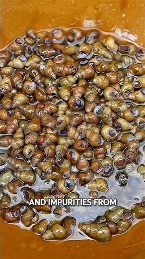 This Snail Dish Solves a Serious Problem #shorts #ytshorts #viralvideo