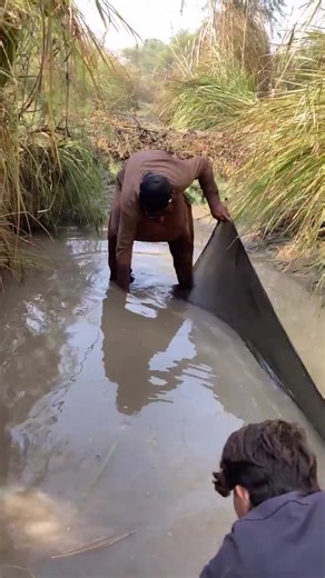 Reading an entire paper for a source. | Write My Academic Essay