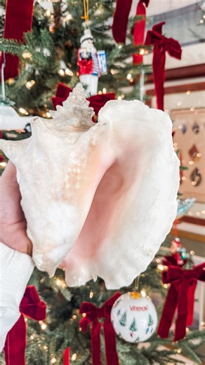 katie perkins on Instagram: "It was 17 degrees. I almost didn’t go. But my dog was doing backflips by the door, so I gave in. We walked right instead of left. My hands were buried in my pockets, fingers tight inside gloves, sunglasses fogged and mostly useless. Not great beach-combing conditions. Still, the air felt good. Parker was thrilled. The sun came up quietly. Just to the refuge sign and back, I told myself. Then I noticed a white shape in the sand ahead of me. A big clam shell? Sea foam?