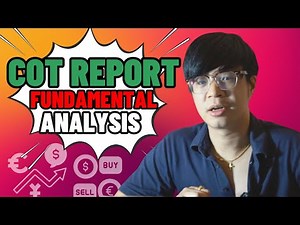 How To Use COT Report In Forex Trading