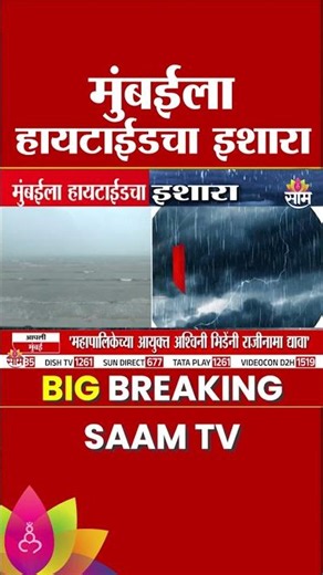 मुंबईला पुन्हा पावसाचा इशारा, कोणत्या वेळेत उसळणार उंच लाटा? | Mumbai Heavy rainfall