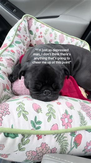 ib: @The Winnie and Cho Show 💖 | egg