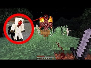 I found ENTITY 303's GRAVE in Minecraft! (Scary Minecraft Video)