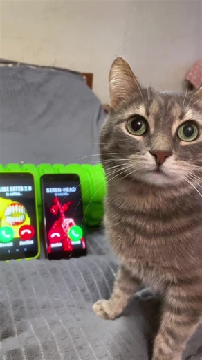 Siren Head y Slide Eater: Un llamado aterrador