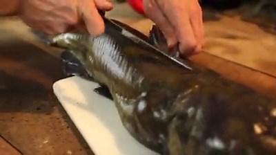 5.1M views · 10K shares | How to Make DIY Catfish Skinning Pliers...
