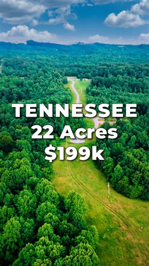 LANDIO on Instagram: "22 Acres of TENNESSEE LAND for SALE This Property in Tennessee is located at the end of a secluded Cul-de-Sac. The Property has Road Access, Mature Trees, Power & High-Speed Fiber Optic Internet & Successful Perc Test for Septic Permitting & Installation. View the Property Images, Maps & Details at: FreedomRidge.com This LAND is UnRestricted with NO HOA or COVENANTS There is NO Minimum Dwelling Size. Build a Home, Cabin, Barndominium (Barndo), Workshop, Greenhouse or any ot
