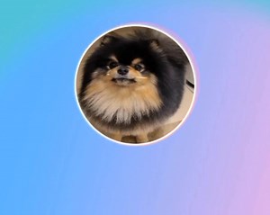 not him fake snoring | Bangtan PH