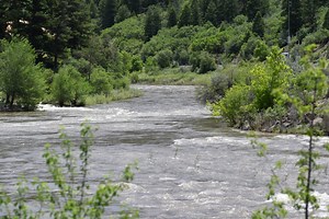 Colorado Parks and Wildlife makes new invasive zebra mussel veliger discovery in Colorado River