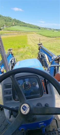 #grass #slashing #tractorlife