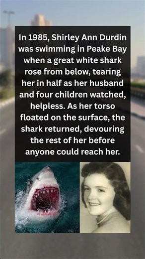 In 1985 Shirley was swimming in peaky bay