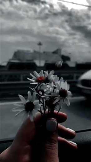 💔TERE ISHQ MEIN Heart Touching Status #shorts #song #lyrics