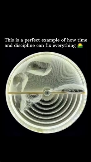 FEARLESS MOTIVATION on Instagram: "Consistent action. Consistent discipline. Consistent belief. It all adds up. @fearlessmotivationofficial Video reposted from @explain.know ⏳ precision, illustrating how time and discipline can fix anything. ⏳✨ Watching this automated rake smooth over a bed of fine sand—erasing imperfections and creating perfectly uniform concentric circles—is incredibly therapeutic.​It’s a powerful metaphor for life: progress often requires a steady, repetitive effort rather th