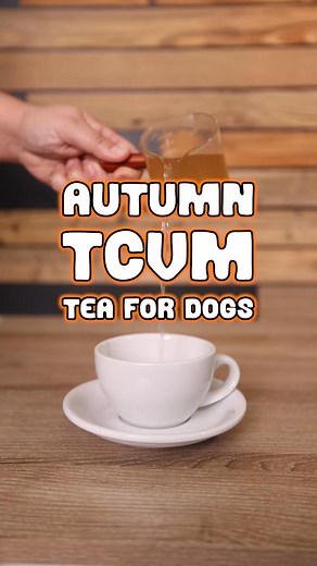 🍂🍵 Autumn is the time of year that is associated with the Metal element and the Lungs and Large Intestine in Traditional Chinese Veterinary Medicine (TCVM). It is the beginning of the Yin cycle as days get shorter and the air becomes more cool and dry. Many of us start feeling the seasonal shift with dry skin, scratchy throat, and cough. Autumn weather can be unpredictable—cool in the mornings and evenings, yet warm in the afternoon. TCVM emphasizes protecting the Lung Qi, which can be easily