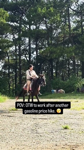 Me and my Rari #ferrari #horsebackriding #commutetowork #corporatelife #corporatememes