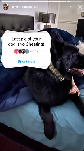 camren shipper and that’s all no TikTok