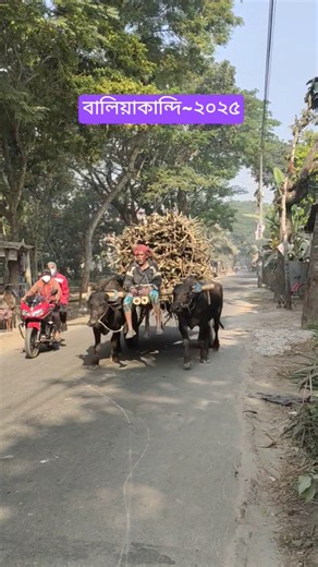 Village Life।।Rural Bangladesh।।village beauty।।beautiful village life.।।