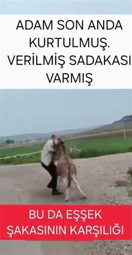 Prank, Funny video #reelsvideo #shortvideo #funnyvideos #shorts