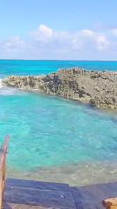 La piscina del Rey 📍Isla Mujeres | Cancún