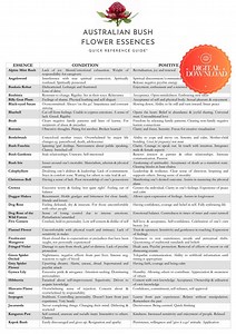 Australian Bush Flower Essence Chart. A Quick Reference Guide for the 71 Single Remedies - Etsy