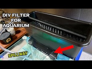 DIY Aquarium Filter Box With Spillway