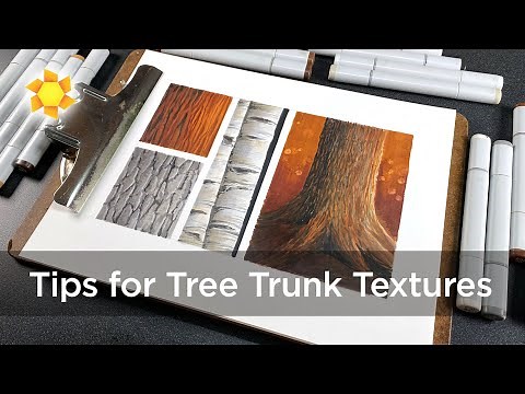 How to Draw Tree Trunk Bark Textures