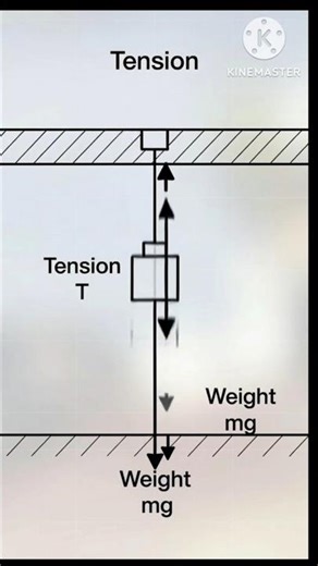 Why Doesn’t the String Break? 😱🔥#TensionInString #ForceAndMotion #PhysicsBasics #NewtonLaws
