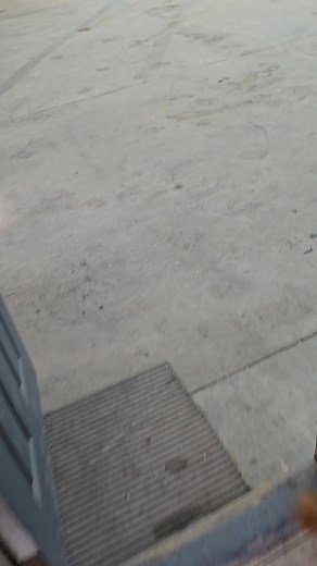 Smallest of all small block chevys | Travis Denning Motorsports