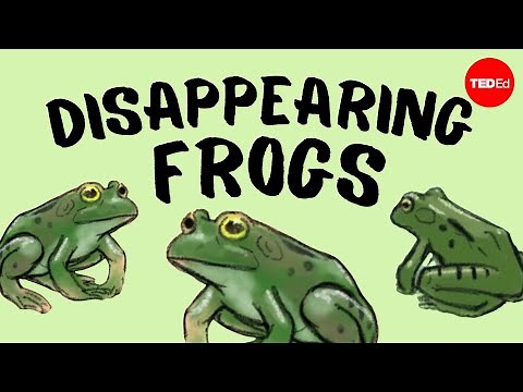 Why are frogs disappearing? - Kerry M. Kriger