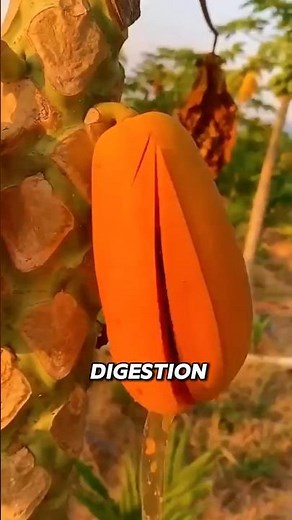 Eat Watermelon If You Dehydrated