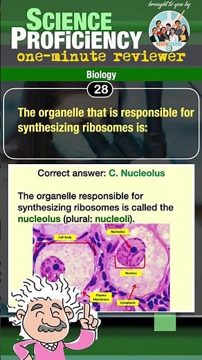 One-Minute Science Proficiency Reviewer No. 1 (Physics) | #ReviewCentral #Shorts