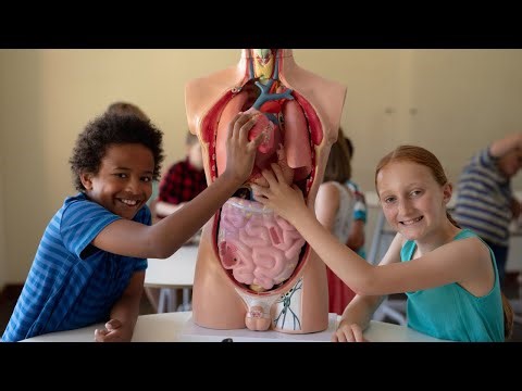 Body Parts For Kids From A to Z | Learn Human Body Parts Names in English | Ria and Rohan