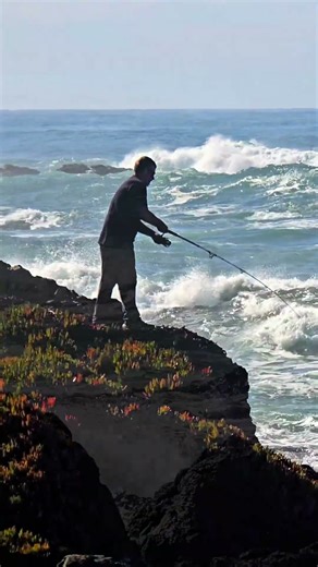 Reeling in a monster LINGCOD in Fort Bragg California #glassbeach #lingcod #fishing #shorts
