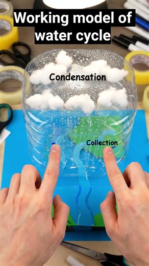 watercycle working model #biologybasics #sciencemadesimple #biology #aishorts