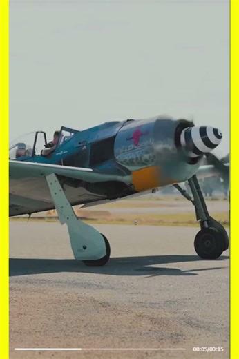FW 190 is a German WWII fighter known for its speed, agility, and powerful armament.