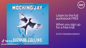 Audio Dimension on TikTok