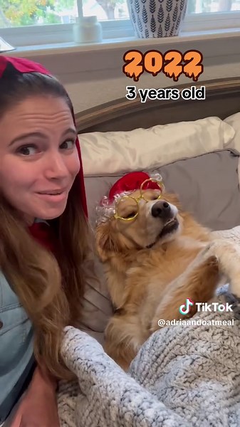 Dog Halloween Costume Ideas for Oatmeal