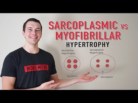 Sarcoplasmic vs. Myofibrillar Hypertrophy
