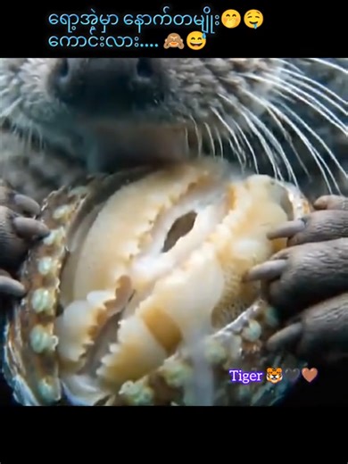 editing (@editing_10002)’s videos with original sound - editing