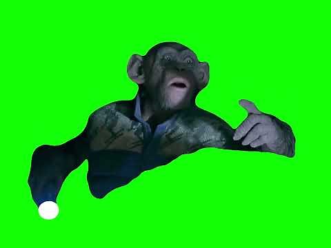 Monkey saying "OH NO!" meme - Bad Ape War for the Planet of the Apes (Green Screen Memes) 🟢