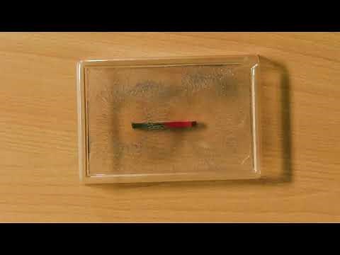 Magnetic field of a bar magnet: Visualization using iron powder
