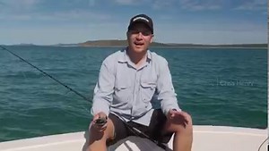 1.3K views · 147 reactions | The Shimano OCEA Head Dip FlashBoost...