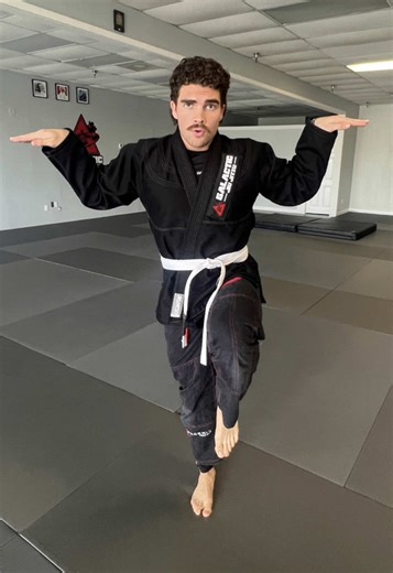 White Belt Sensei: MMA Gym Journey