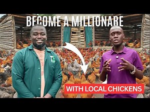 Secrets of LOCAL CHICKEN FARMING in Uganda | From a Small Start to Big Profits