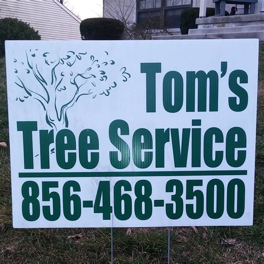 Tom's Tree Service | Wenonah NJ