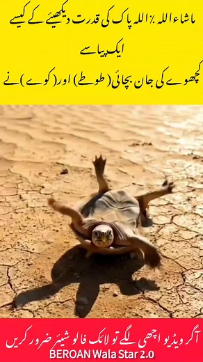 Allah Hoo Allah Hoo: Spiritual Chant