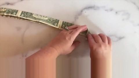 She lays 5 dollar bills on the table for this BRILLIANT idea!