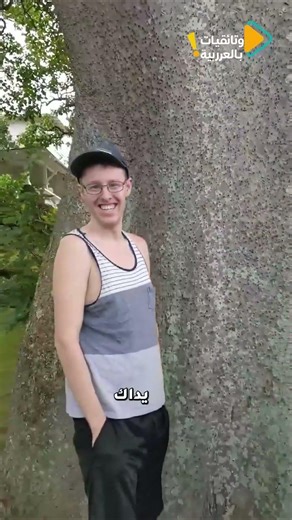 شجرة صندوق الرمل… لمسةٌ قد تكون مؤلمة! 🌳☠️